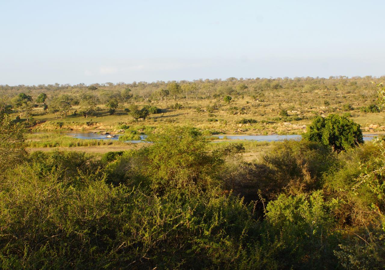 Вілла Marloth Park Hippo House Екстер'єр фото
